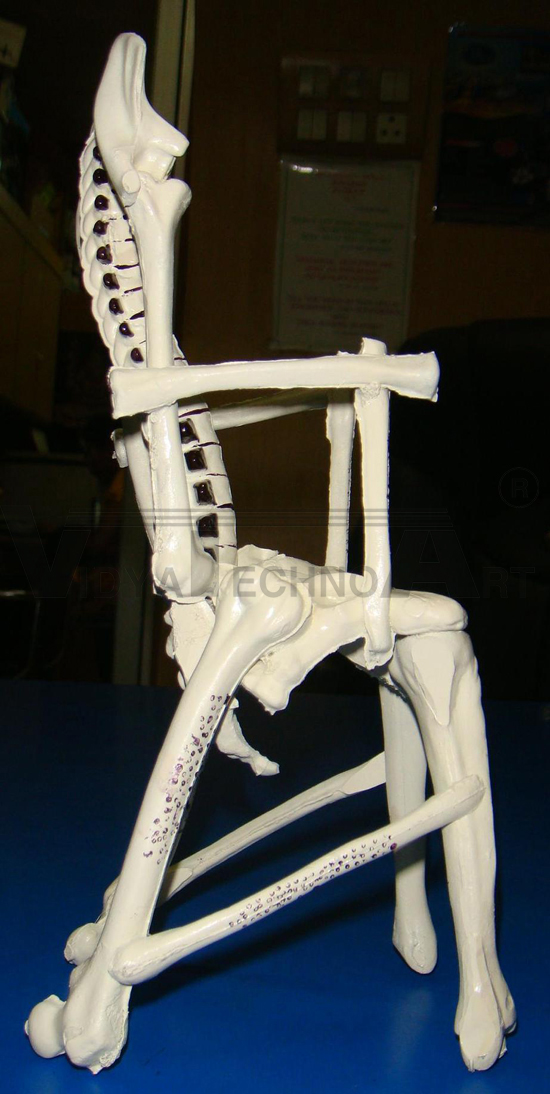 Chair Osteoporesis